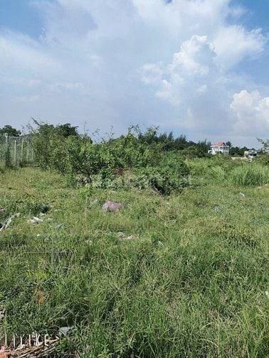 BÁN ĐẤT THỔ CƯ -P.LONG THẠNH MỸ -THỦ ĐỨC SÁT VINHOMES -CHỈ 30TR/M2 