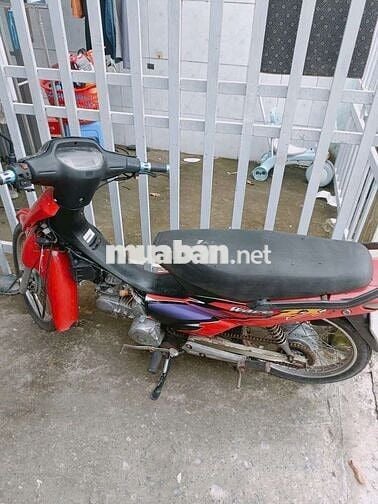 Weve em nho đang đi lai êm ru ko tien đông la