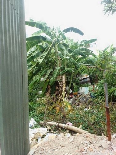 BÁN ĐẤT CÓ NHÀ TIỀN CHẾ 75m2 Hẻm đường LÊ CƠ 