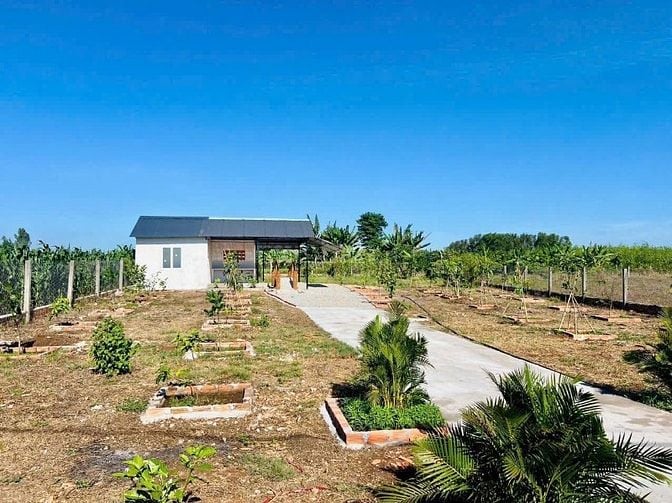 Bán Gấp Nhà Vườn Liền Kề Hồ Đã Xây Rào Và Trồng Cây Ăn Trái Chỉ 1.5 Tỷ