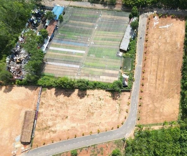 Đất nền Tân Định, mặt tiền, đường nhựa, sổ sẵn