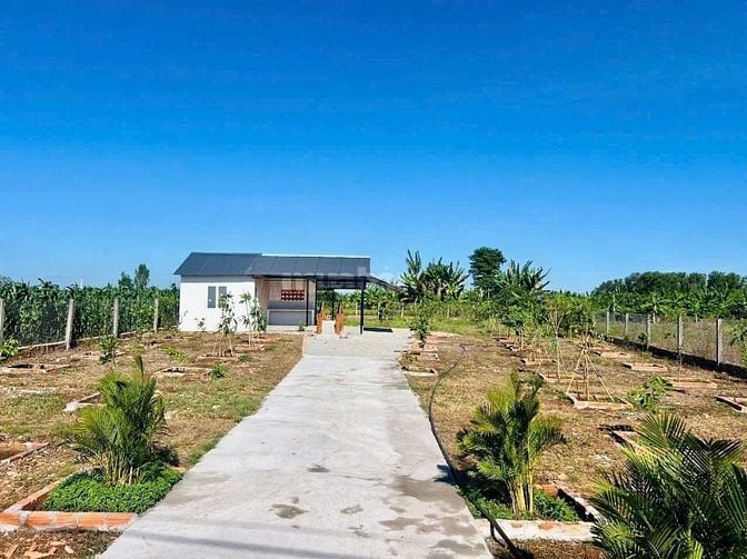 Bán Gấp Nhà Vườn Liền Kề Hồ Đã Xây Rào Và Trồng Cây Ăn Trái Chỉ 1.5 Tỷ