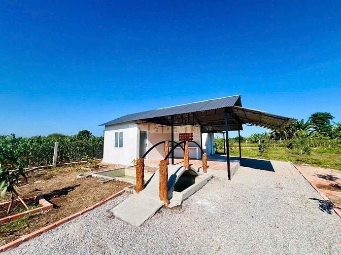Bán Gấp Nhà Vườn Liền Kề Hồ Đã Xây Rào Và Trồng Cây Ăn Trái Chỉ 1.5 Tỷ