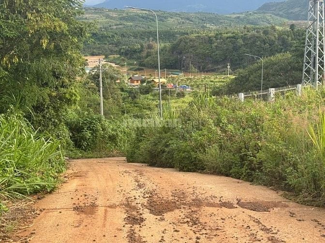 Bán 2,8 ha Sầu Riêng 9 năm tuổi và Cà Phê, cho tặng kèm 1,2ha