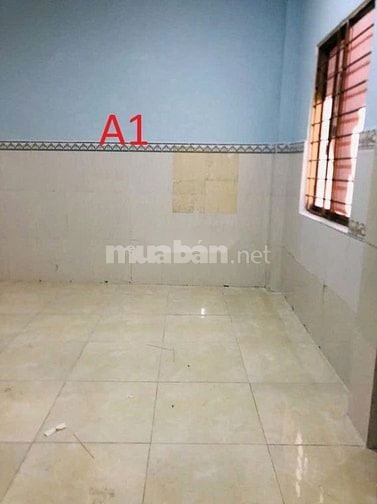 🏠 Cho thuê nhà nguyên căn đường Đồng Xoài, P13, Tân Bình