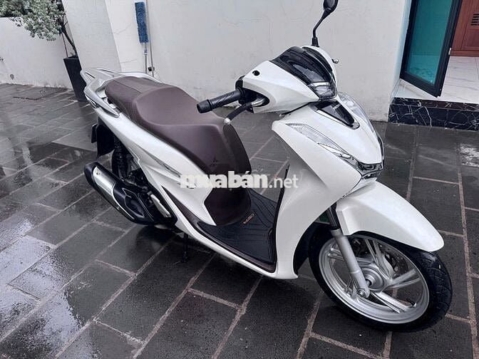 Cần ra đi con SH Ý 2010 - Đầu máy 104