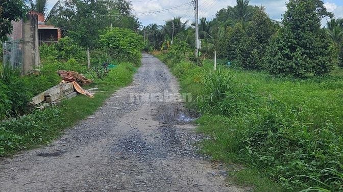 190m2 thổ cư. Đường xe hơi. Gần KCN Hiệp Thạnh. 580tr 