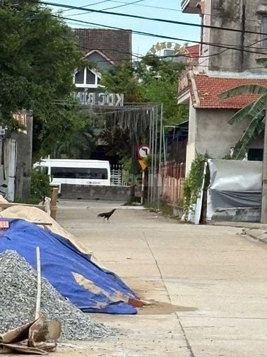🎯 DỰ ÁN MỚI – VỊ TRÍ ĐẮC ĐỊA PHÍA BẮC TAM KỲ