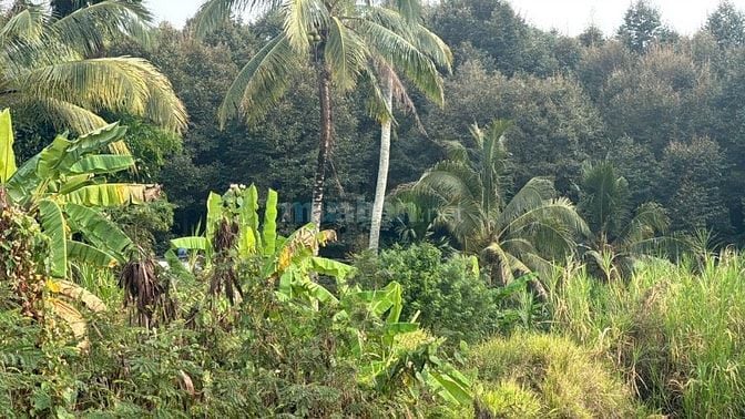 🌿 BÁN GẤP ĐẤT VƯỜN 15.236M² – CÓ 2 HỒ CÁ – CÁCH TRUNG TÂM LONG KHÁNH 