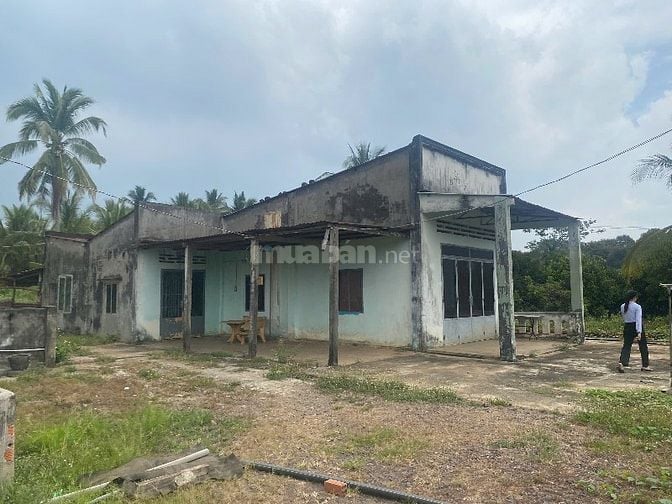 🌿 BÁN GẤP ĐẤT VƯỜN 15.236M² – CÓ 2 HỒ CÁ – CÁCH TRUNG TÂM LONG KHÁNH 