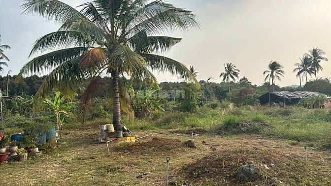 🌿 BÁN GẤP ĐẤT VƯỜN 15.236M² – CÓ 2 HỒ CÁ – CÁCH TRUNG TÂM LONG KHÁNH 