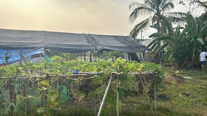 🌿 BÁN GẤP ĐẤT VƯỜN 15.236M² – CÓ 2 HỒ CÁ – CÁCH TRUNG TÂM LONG KHÁNH 