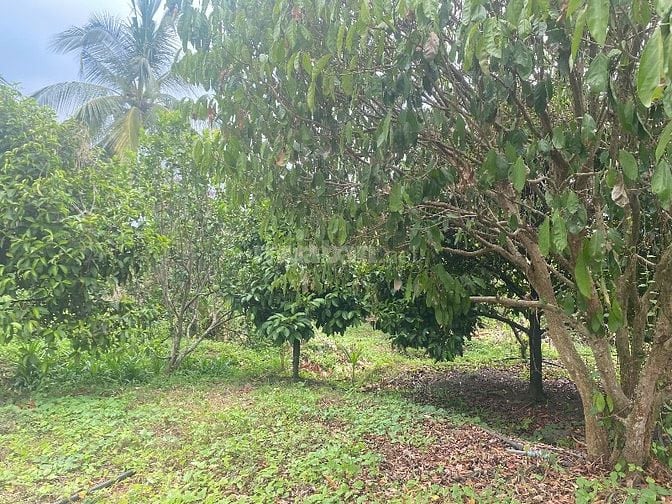 🌿 BÁN GẤP ĐẤT VƯỜN 15.236M² – CÓ 2 HỒ CÁ – CÁCH TRUNG TÂM LONG KHÁNH 