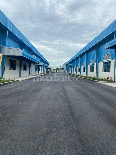 Cho thuê kho xưởng mới 5.000m2 – 20.000m2, KCN Vĩnh Lộc 2,có dock cont