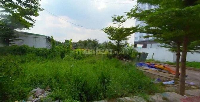 Chính chủ kẹt tiền bán 3 lô đất KDC Vườn Lài , giá 1 tỷ 78, SHR 60m2