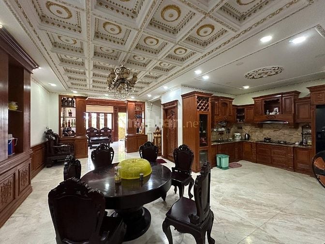 bán biệt thự đường lê quốc trinh DT 8x19 đúc 1 trệt 1 lửng 3 lầu 