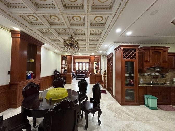 bán biệt thự đường lê quốc trinh DT 8x19 đúc 1 trệt 1 lửng 3 lầu 