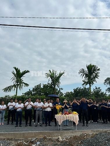 Đất nền khu nhà ở Long Vân Bình Lợi - Phường Tân Triều, SHR thổ cư 100