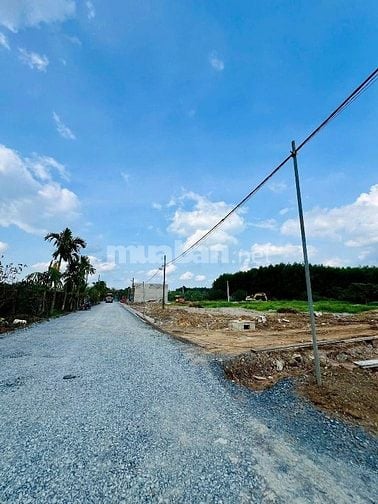 Đất nền khu nhà ở Long Vân Bình Lợi - Phường Tân Triều, SHR thổ cư 100