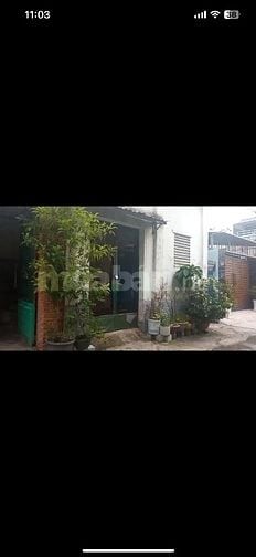 Bán nhà đất đang ở và cho thuê