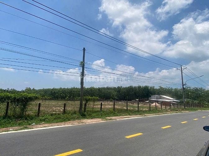 bán đất dầu tiếng 3000m giá bán 2 ty mật tiền nhựa 12 