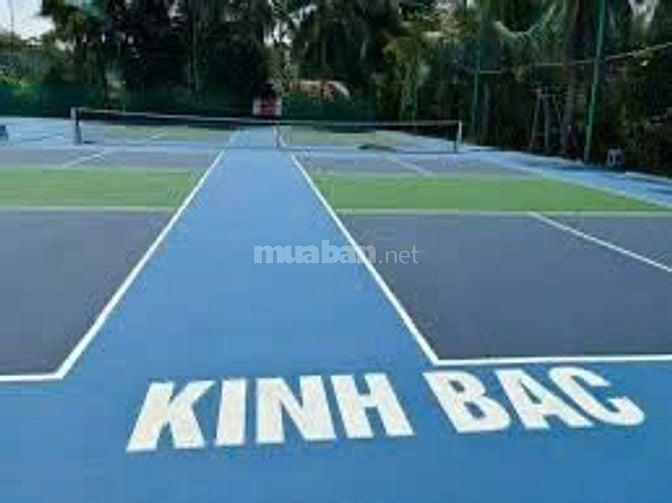 cho thuê sân tennis và pickleball