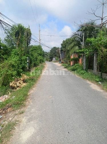 ĐẤT THỔ CƯ TRẢNG BÀNG 292m2 CHỈ 450 TRIỆU