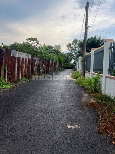 Cần bán lô đất Phước Thuận (Hồ Tràm) - TPHCM. Diện tích: 16*47,5m 