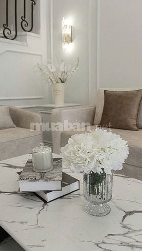 Bán Nhà Villa phong cách Neo Classic – Hẻm xe tải Phan Huy Ích, Gò Vấp