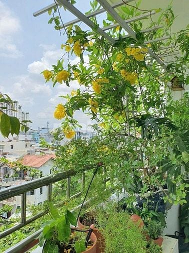 Bán Chung Cư 5 Tầng Khu ĐT An Phú -An Khánh Q2(74m,2pn full giá 4,1ty)