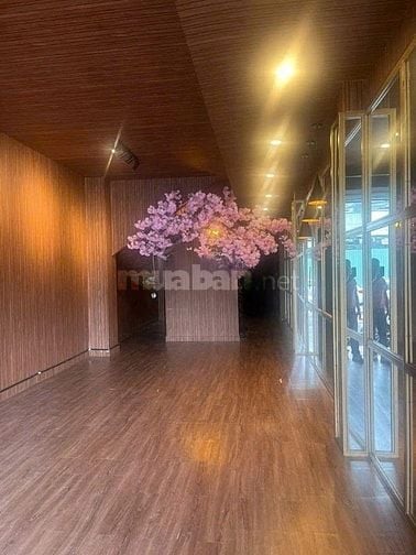 Cho thuê nhà mặt tiền đường Sư Vạn Hạnh, Phường 12, Quận 10. 