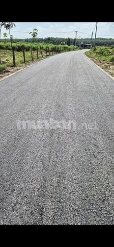 cần bán đất phú giáo đường dh 504 ngang 25m dài 50m có 300m thổ cư