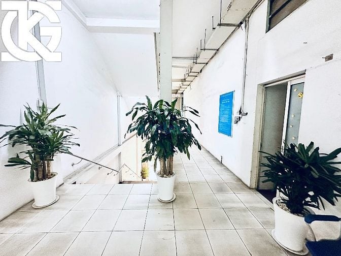 ❇️❇️ Cho Thuê Nhà Mặt Tiền: 10 Cô Giang - Quận 1 - 17x72m, 6 tầng