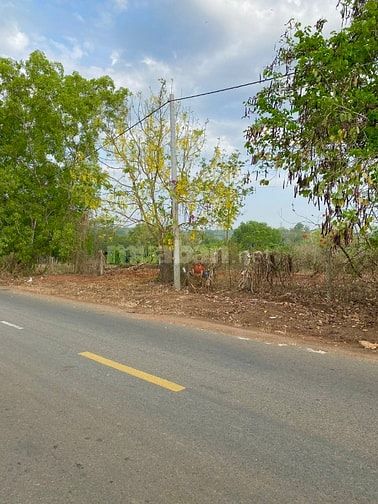 BÁN ĐẤT NÔNG NGHIỆP( CLN ) MẶT TIẾN ĐƯỚNG 15M. BÀ RỊA VŨNG  TÀU