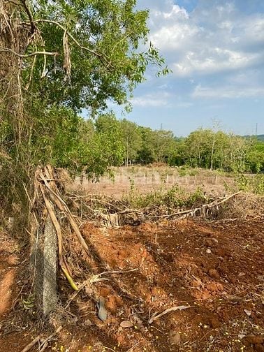 BÁN ĐẤT NÔNG NGHIỆP( CLN ) MẶT TIẾN ĐƯỚNG 15M. BÀ RỊA VŨNG  TÀU