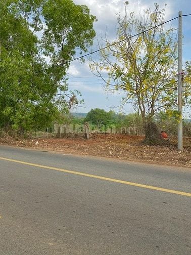 BÁN ĐẤT NÔNG NGHIỆP( CLN ) MẶT TIẾN ĐƯỚNG 15M. BÀ RỊA VŨNG  TÀU