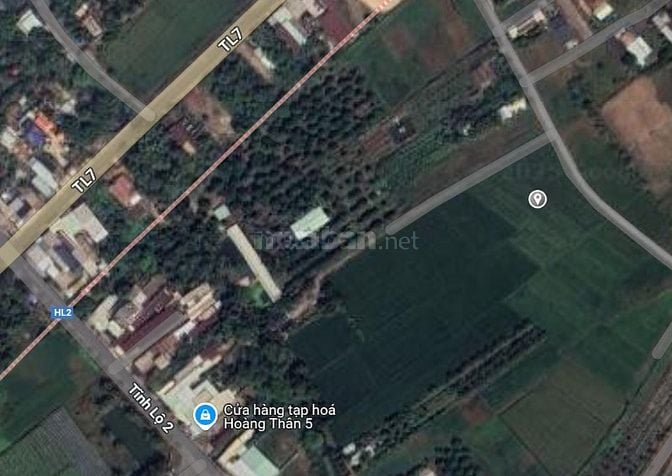 Cần tiền bán gấp đất vườn 1000 m2 Trung Lập Hạ Củ Chi , 3 tỷ 1