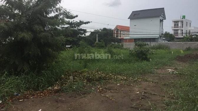 Bán đất ngay thị trấn Cần đước