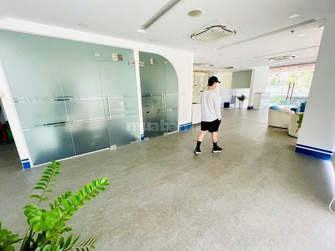 Cho Thuê Toà Nhà Góc 2 MT Trường Sơn - DT 8X22m - 5 TẦNG - Đầy Đủ PCCC