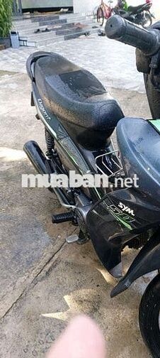 Elegant 50cc
