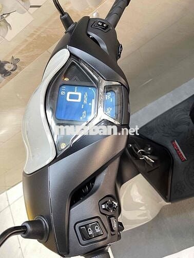 sh125 abs xám xi măng 2024
