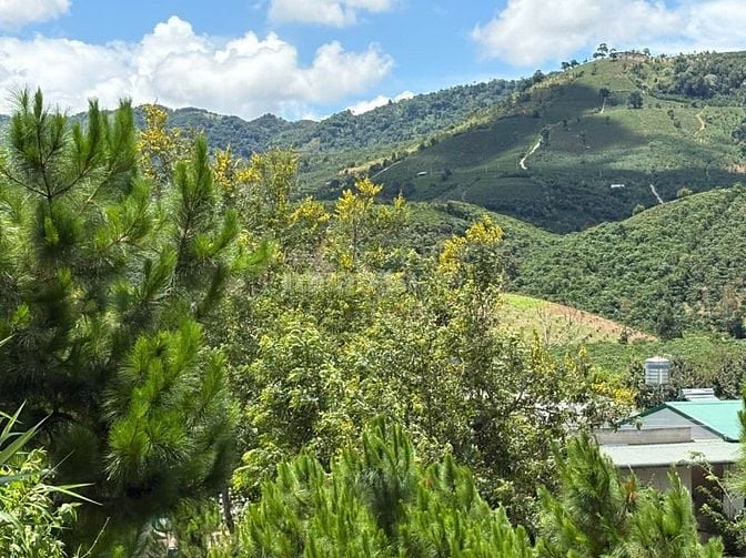 6000m2 mặt tiền B'Lao Xê Rê, đã tạo sẵn view 360, khu dân cư