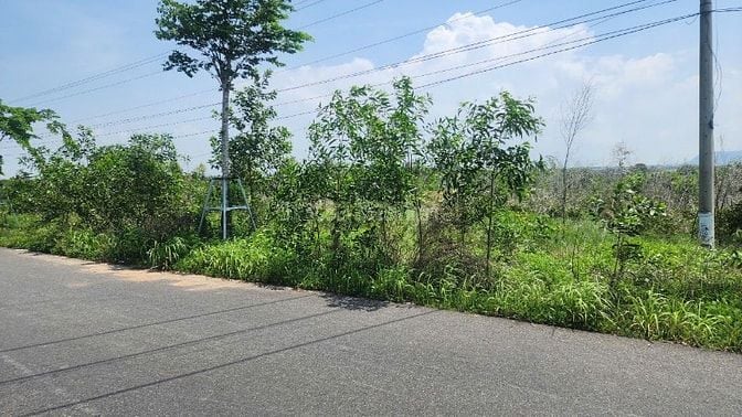 Siêu Phẩm View Biển 20,5x164(3516m2) Hùng Vương Tân Bình LaGi Giá Ngộp
