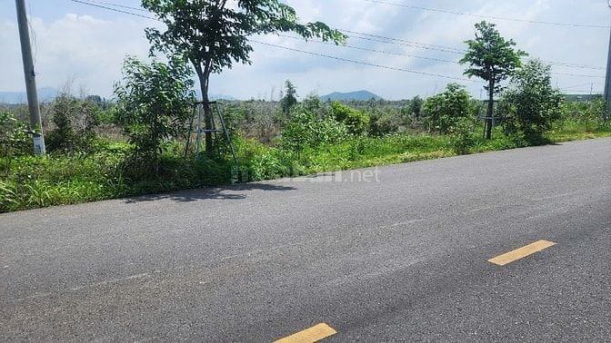 Siêu Phẩm View Biển 20,5x164(3516m2) Hùng Vương Tân Bình LaGi Giá Ngộp