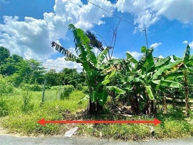 Nền 150m2 Thuộc Rạch Xẻo Đế Thuộc Trường Lạc Ô Môn - Gần  Chợ 