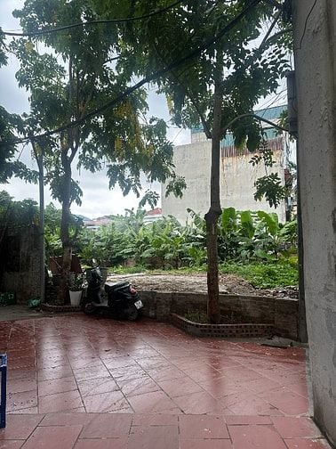 Bán đất đẹp khu Lĩnh Nam 46m mt 4,4 giá đt