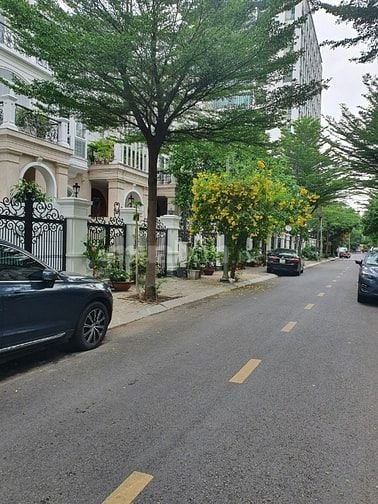 Bán nhà mặt phố Cityland Garden Hills (6m x 19m) DT: 114m2, 5PN, 4WC