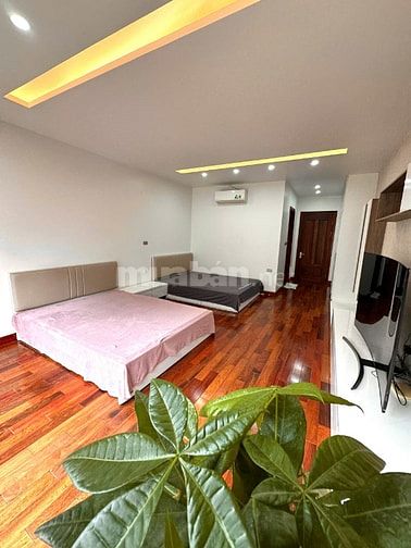 Bán Nhà Đền Lừ 299 Hoàng Mai 52m sổ 6 tầng dân xây Thang Máy Ngõ Ô tô 