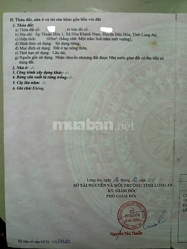 BÁN ĐẤT CHÍNH CHỦ THỔ CƯ 100% HÒA KHÁNH NAM, ĐỨC HÒA DIỆN TÍCH 105M2 