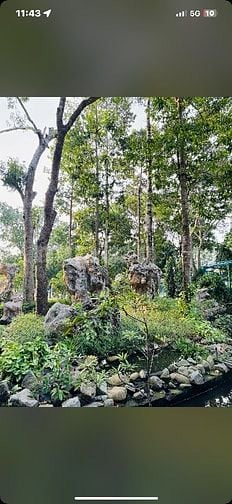 VIỆC LÀM PARTIME - FULLTIME QUẬN GÒ VẤP 